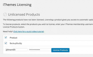 Ithems licensing